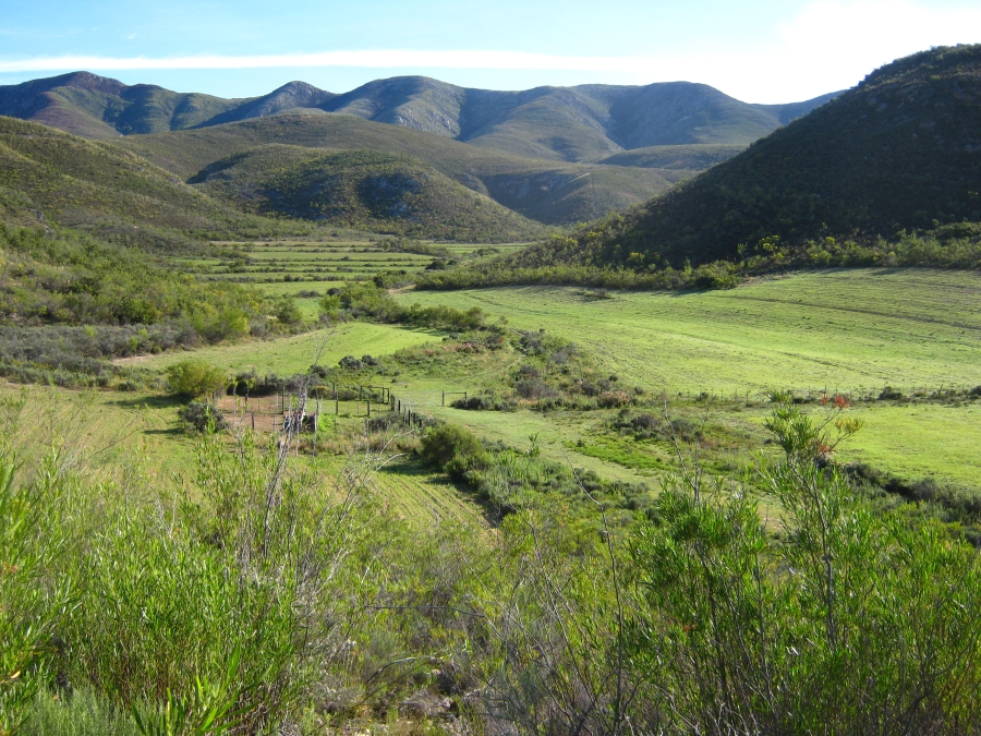 3 Bedroom Property for Sale in Joubertina Eastern Cape